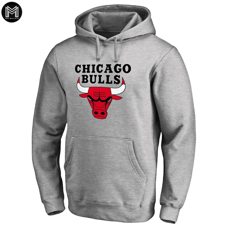 Sudadera Chicago Bulls 2019 - Gris
