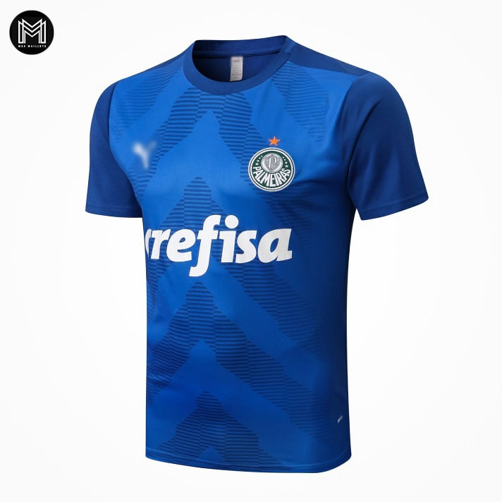 Maillot Palmeiras Training 2022/23