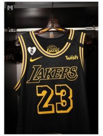 Lebron James Los Angeles Lakers Black Mamba