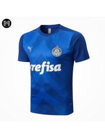 Maillot Palmeiras Training 2022/23