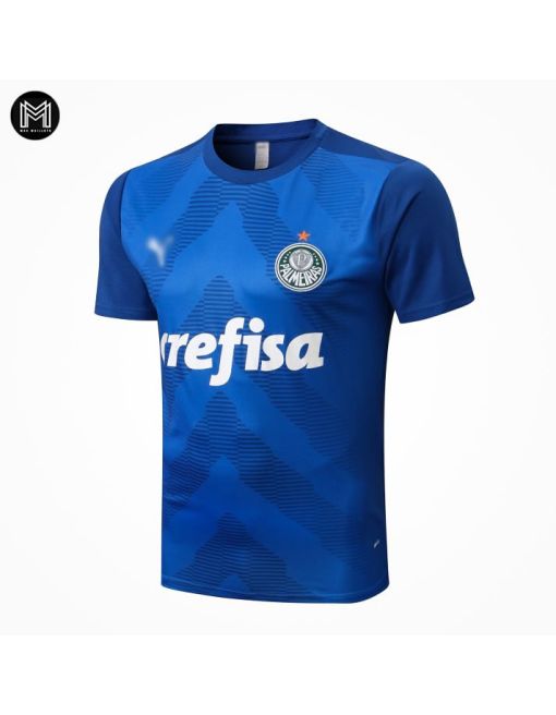 Maillot Palmeiras Training 2022/23