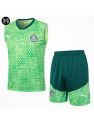 Palmeiras Training Kit 2024